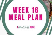 Optimal Nutrition Blueprint