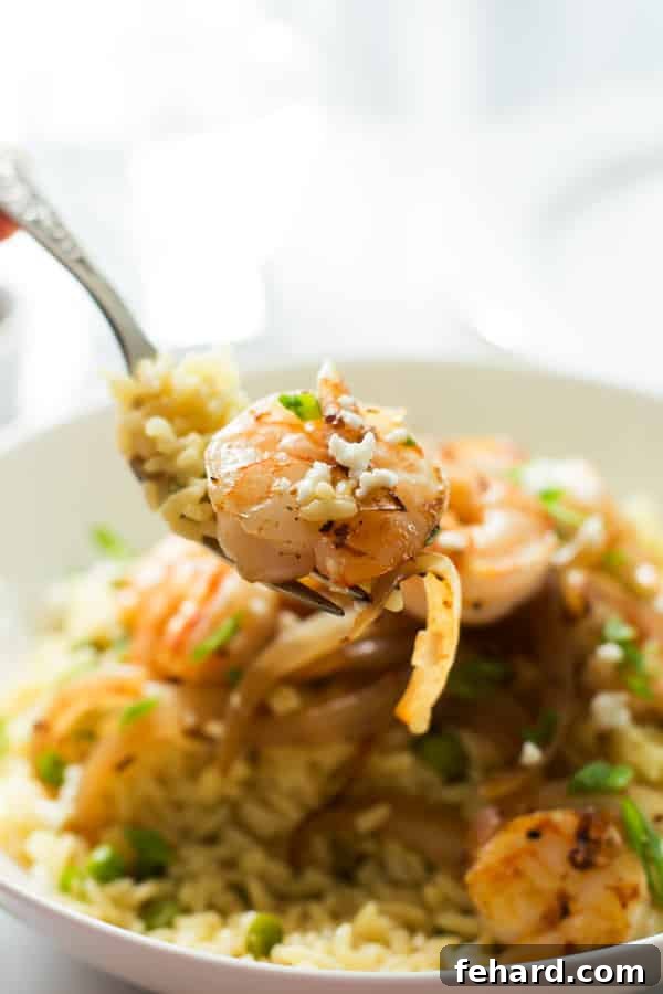 Rice with Balsamic Onions and Shrimp close up in a fork, showing the texture of ingredients