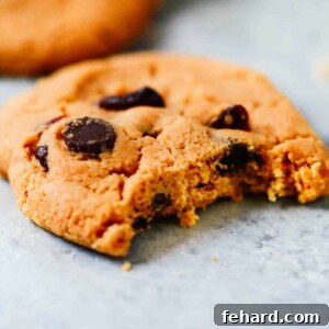 A close up of a single cranberry chocolate chip cookies with a bite taken out of it.