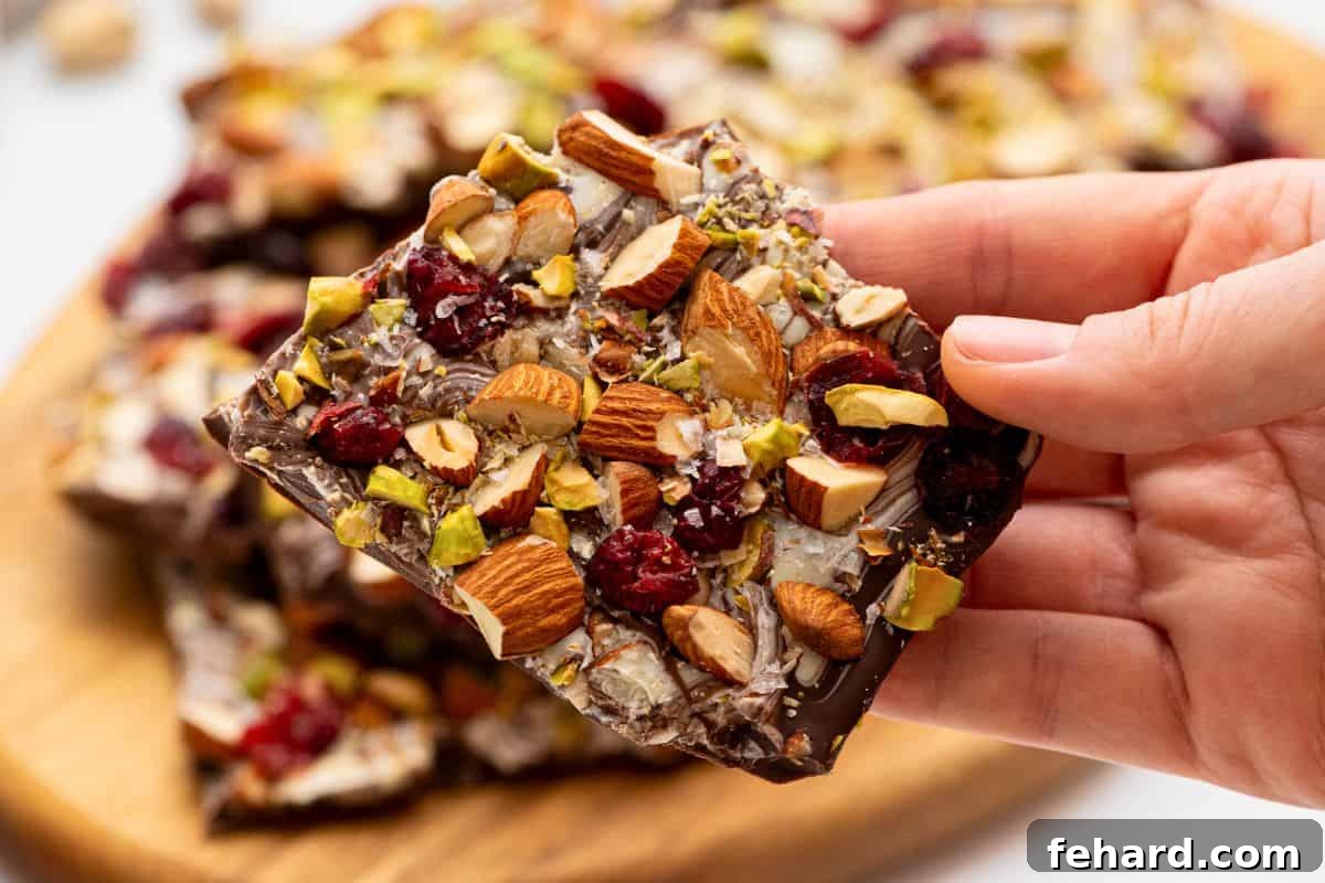 A hand holds a tempting piece of homemade chocolate bark, beautifully adorned with dried cranberries and crunchy nuts.