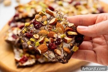 Hand holding piece of homemade chocolate bark with dried cranberries and nuts.