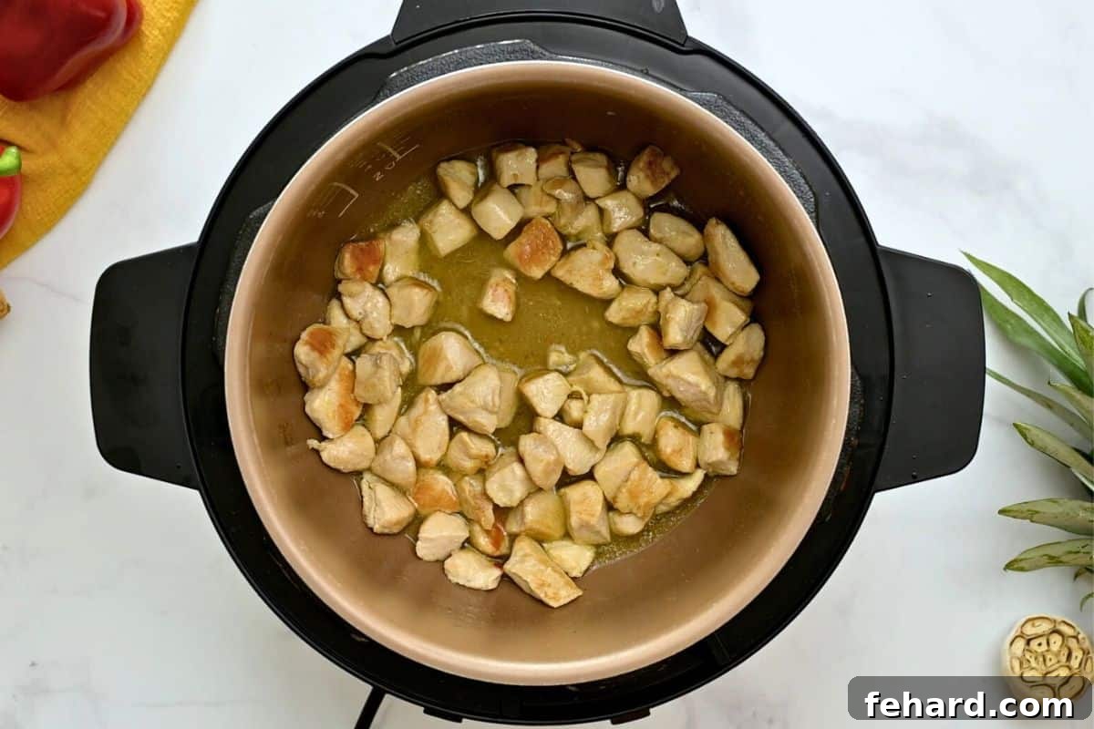 Seared chicken in the Instant Pot after deglazing with chicken stock, ready for the next ingredients.