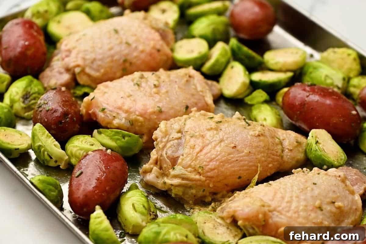 Seasoned Chicken Thighs, potatoes, and brussels sprouts spread out on sheet pan. Perfectly arranged for an even roast.