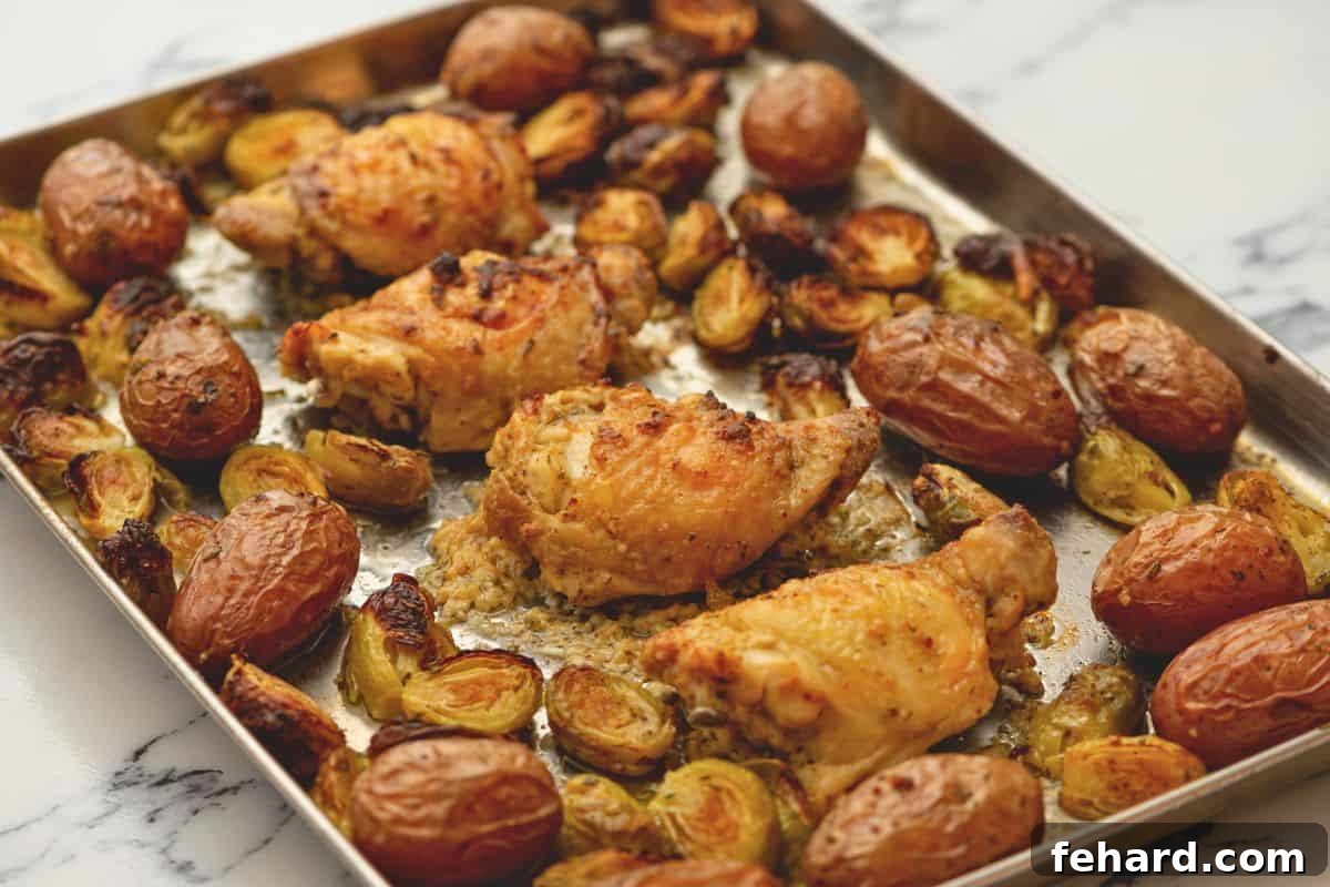 Roasted Chicken Thighs with potatoes and Brussels Sprouts on rimmed sheet pan. Golden brown and perfectly cooked.