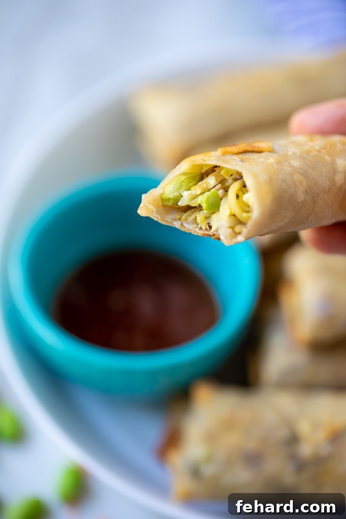 Homemade Vegetable Egg Rolls A delicious Baked Vegetable Egg Roll being held, with a bite taken out, showcasing the vibrant vegetable filling.
