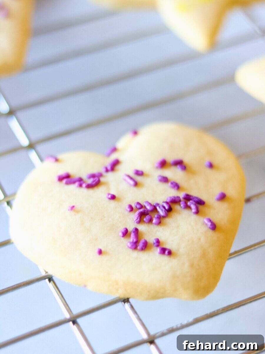 A perfectly shaped heart cut-out sugar cookie with vibrant purple sprinkles, resting on a cooling rack.