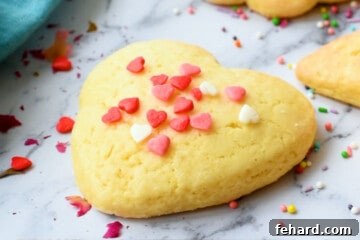 Heart cut out sugar cookie on counter with sprinkles.