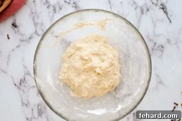 Dough after kneading in large mixing bowl.