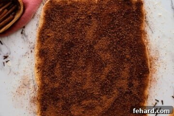 Cinnamon sugar mixture spread over rectangle shaped dough.