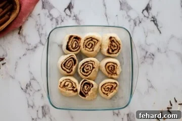 9 assembled cinnamon rolls in greased baking dish prior to rising.