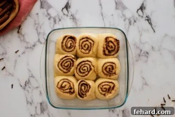 Cinnamon Roll Dough after overnight rise in baking dish.