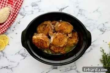 Seared chicken thighs on top of rice, garlic and broth inside slow cooker.