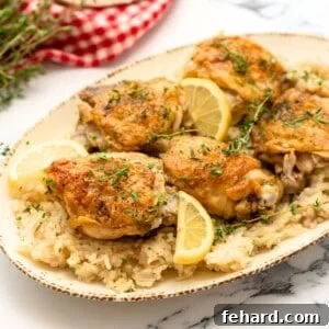 Rice and crispy chicken thighs plated on platter and topped with parsley.