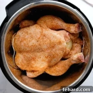 Whole seasoned chicken on trivet inside inner pot.