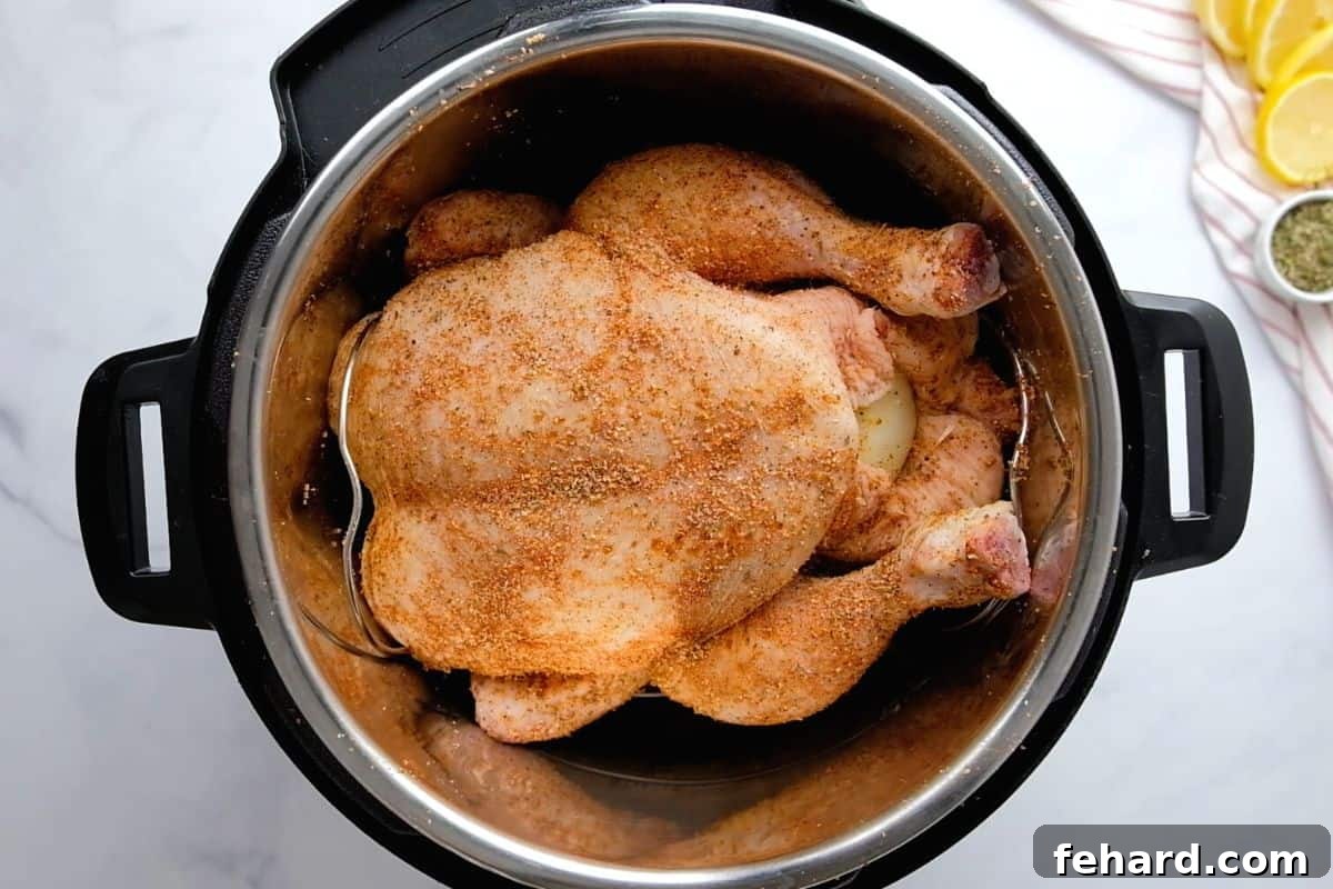Seasoned whole chicken on trivet inside inner pot.