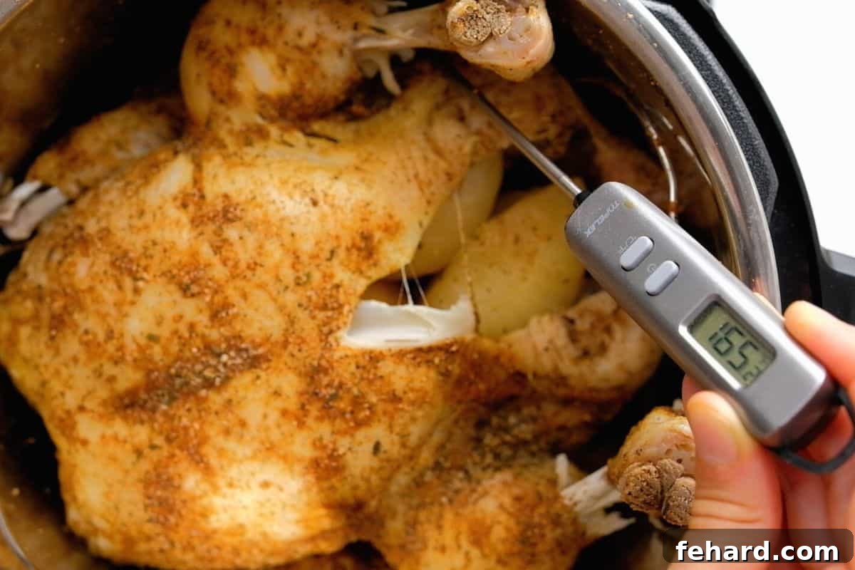 Thermometer inserted into a whole chicken reading 165.2 degrees F.