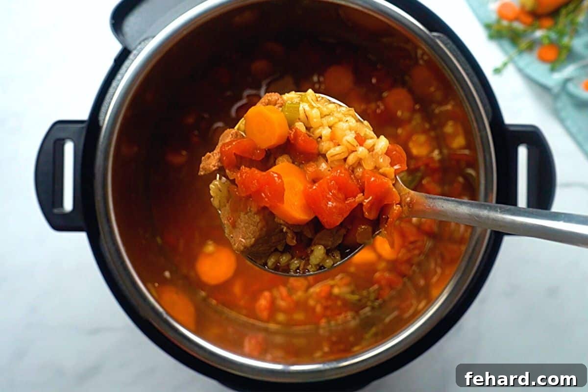 A ladle lifts a generous serving of hearty beef and barley soup from the Instant Pot, steam rising invitingly.