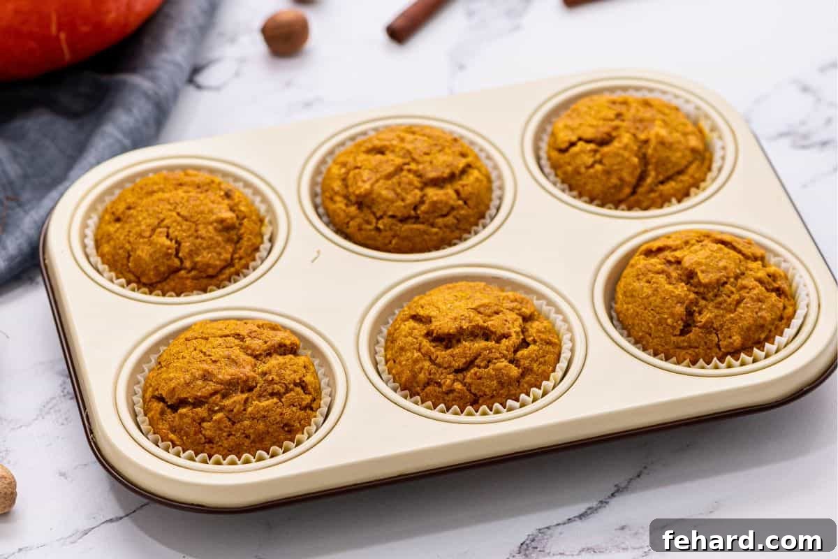 Freshly baked healthy pumpkin muffins cooling in a silver muffin tin on a wire rack.