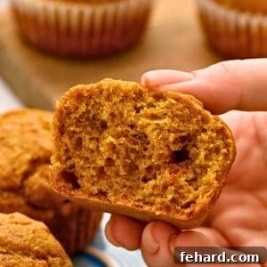 A dairy-free, naturally sweetened, whole wheat pumpkin muffin cut in half to show how fluffy and soft inside of muffin is.