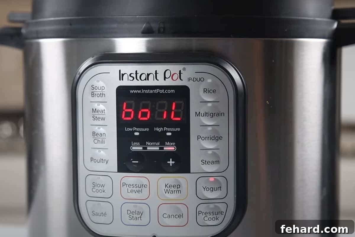 Instant Pot screen displaying 'boil' mode during milk heating for yogurt.