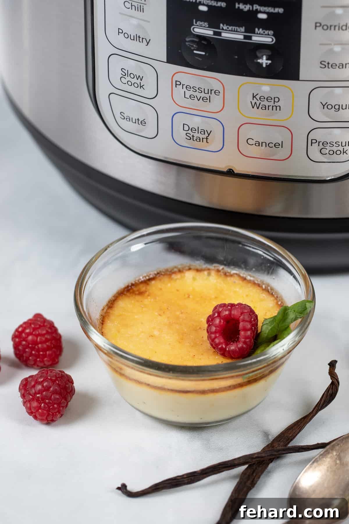 Instant Pot Creme Brulee, a luscious and easy-to-make French dessert. One custard cup filled with perfectly caramelized creme brulee, garnished with fresh raspberries and a sprig of mint. An Instant Pot and a fragrant vanilla bean pod are artfully arranged to the side.