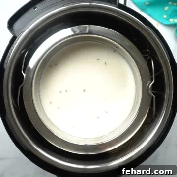 Stainless steel bowl with milk and oats inside inner pot of instant pot, ready to cook.