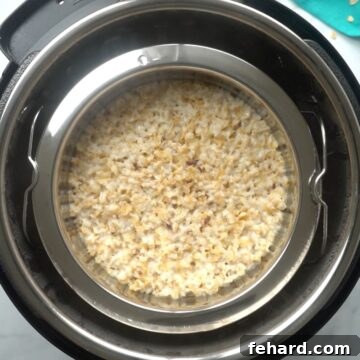 Cooked oatmeal inside stainless steel pot inside Instant Pot, showing the final texture.