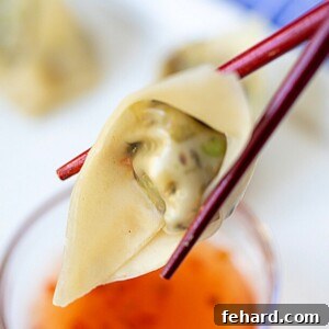 Close up of vegetable potsticker on chopsticks.
