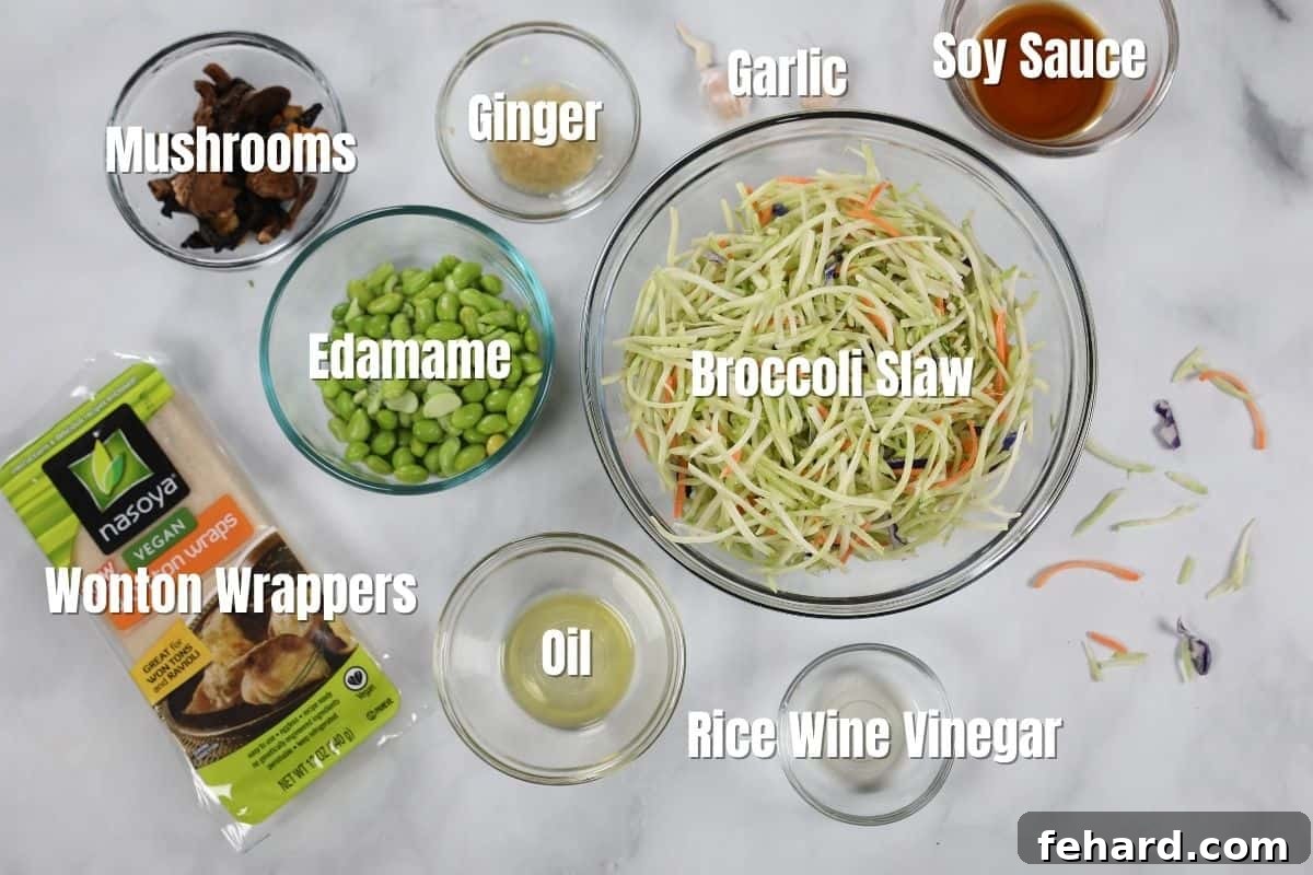 A selection of fresh ingredients for vegetable potstickers, including wonton wrappers, broccoli slaw, mushrooms, and various seasonings, neatly laid out on a kitchen counter.