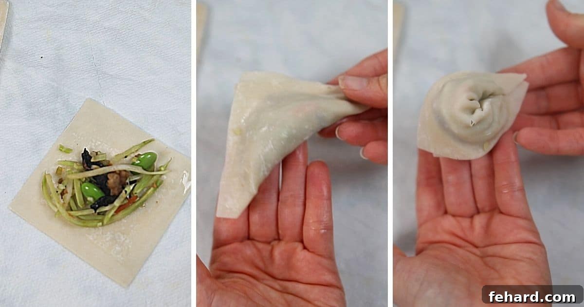 A step-by-step visual guide demonstrating the process of forming and shaping potstickers, from filling the wrapper to creating classic pleats for a secure seal.