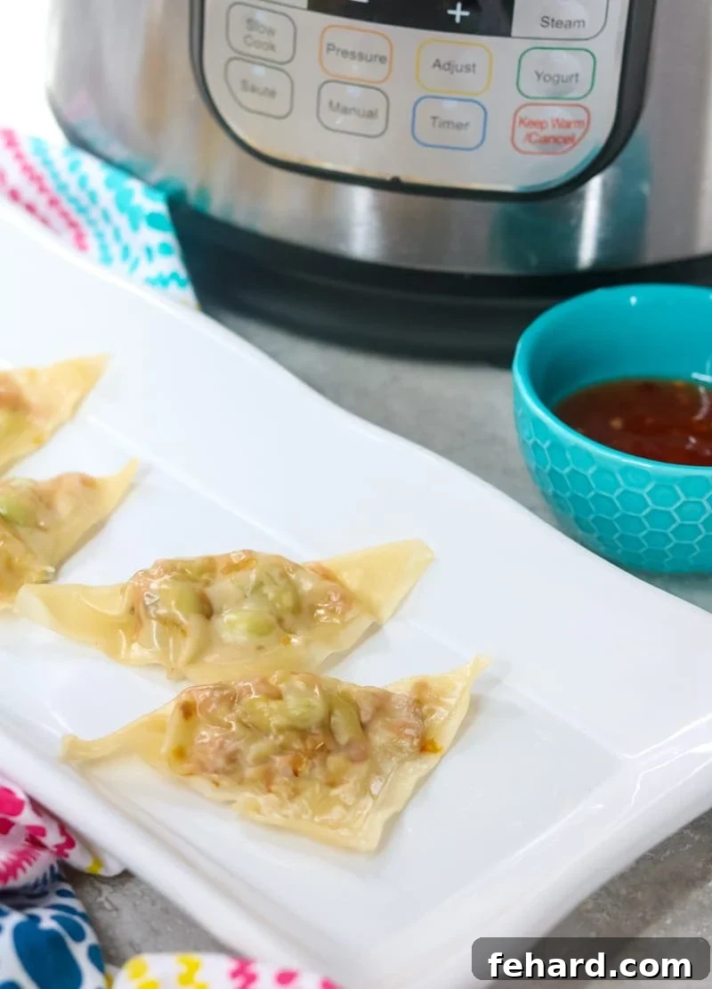 Instant Pot Vegetarian Potstickers White rectangular platter with steamed vegetable potstickers on it next to instant pot and blue bowl of homemade sweet chili sauce