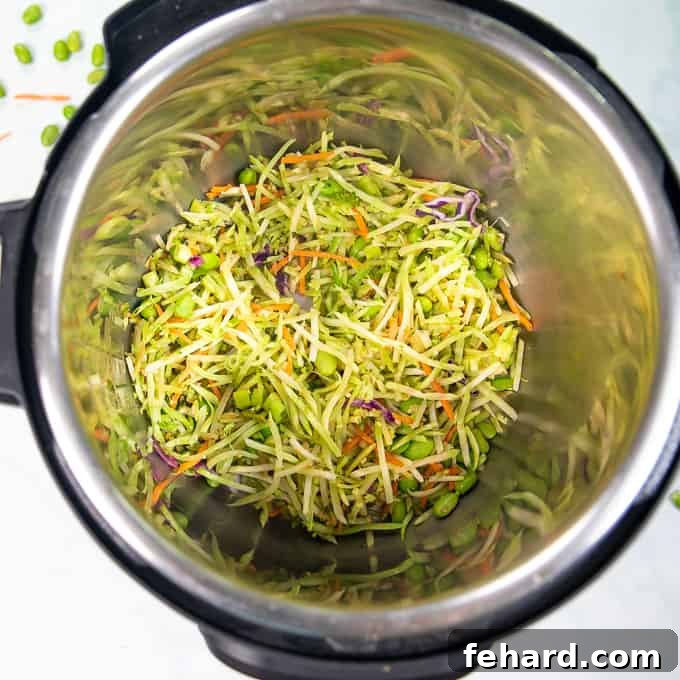 Instant Pot Appetizer Recipe Shredded broccoli and carrots in inner pot of instnat pot.