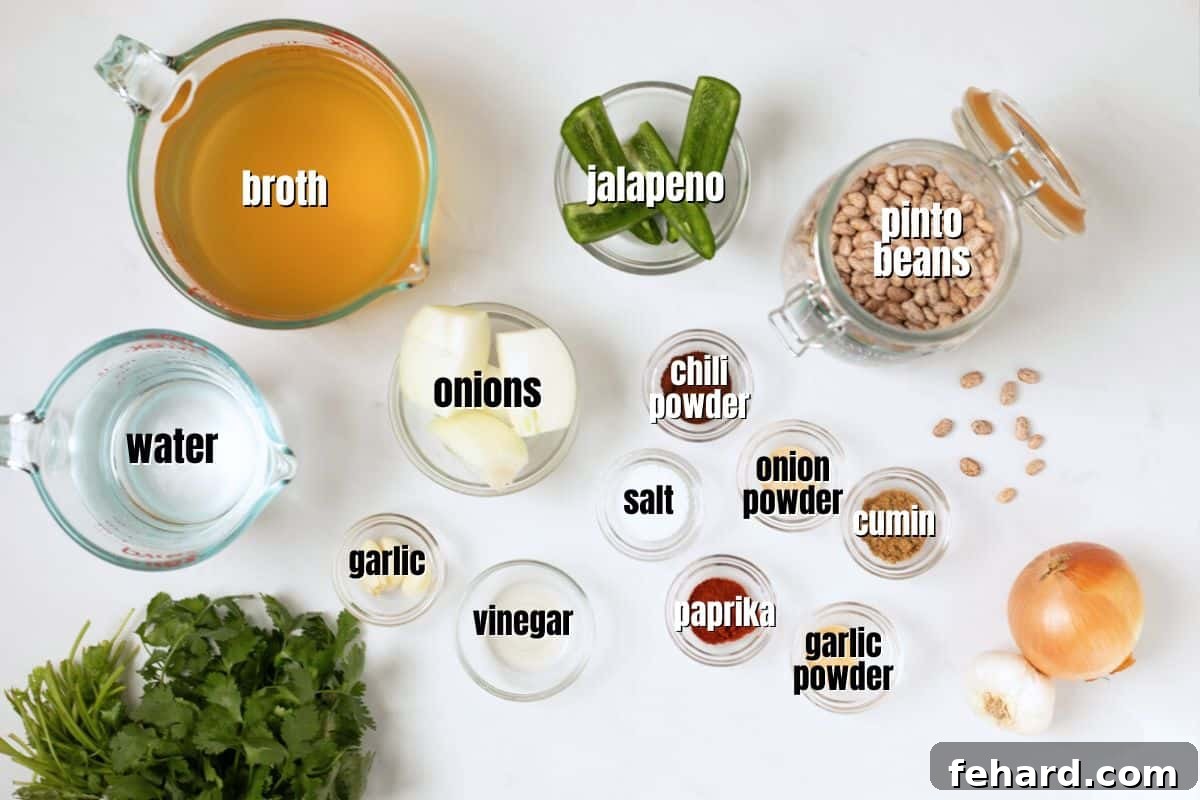 Labeled ingredients for Instant Pot Refried Beans, including dried pinto beans, onions, jalapeno, garlic, broth, and spices, laid out on a kitchen counter.