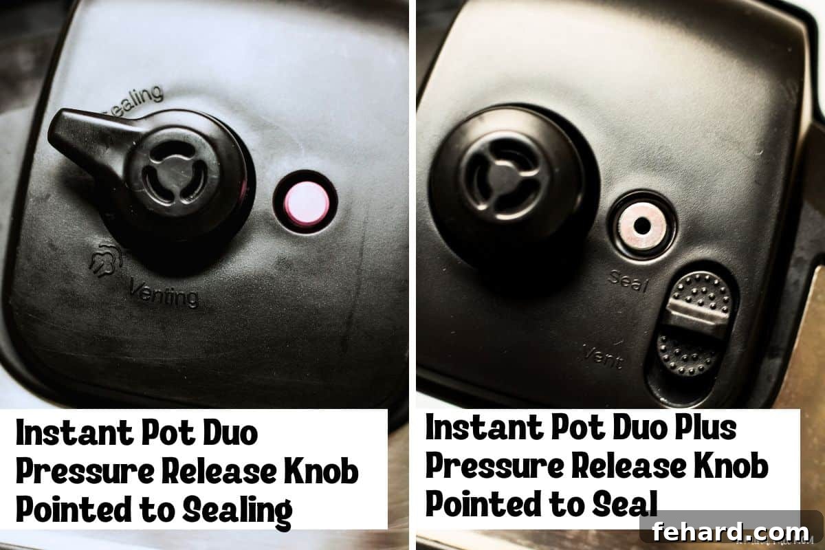 Water Test Side by side photos showing lids secured on Instant Pot Duo and Instant Pot Duo Plus.