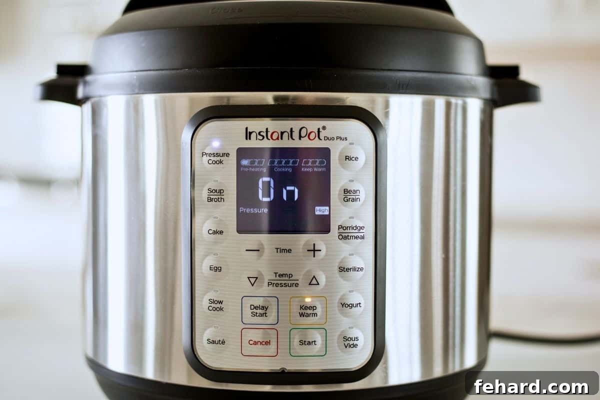 Pressure Cooker Water Test The Instant Pot after showing ON after pressure has been set.