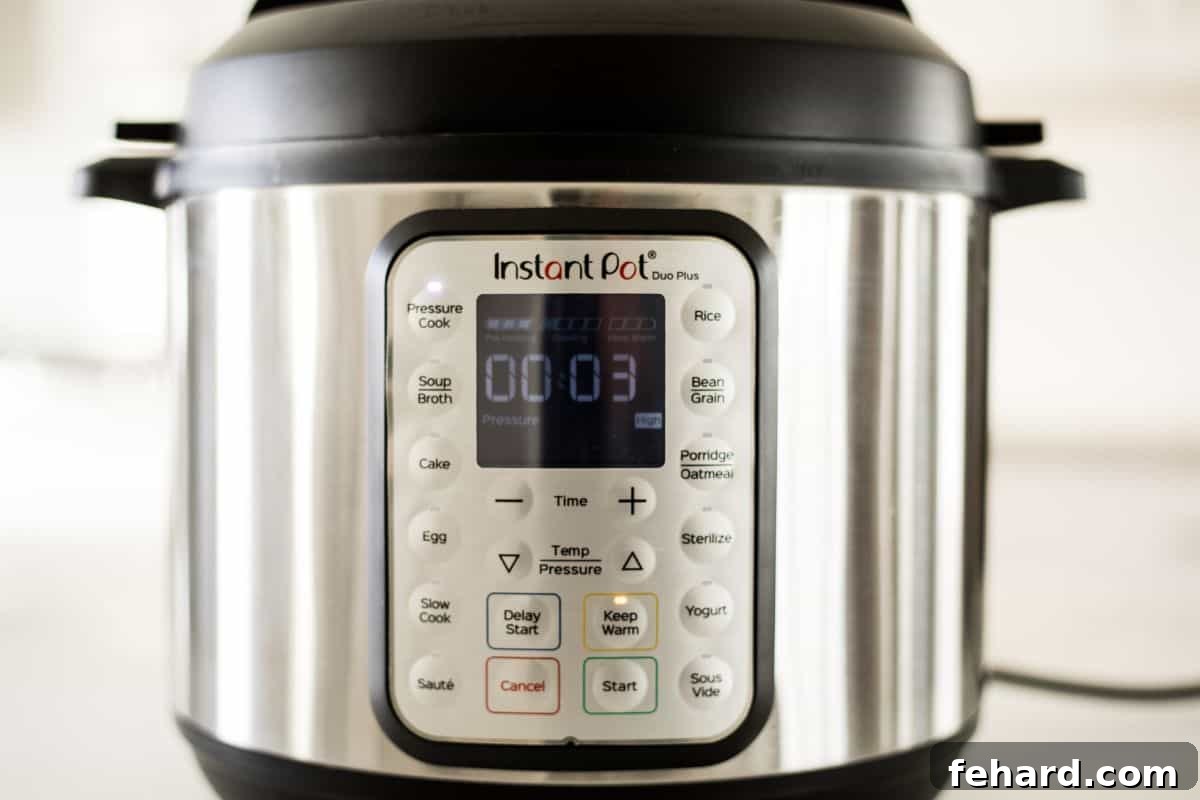 Water Test For IP Instant Pot displaying a cooking time of 3 under high pressure.
