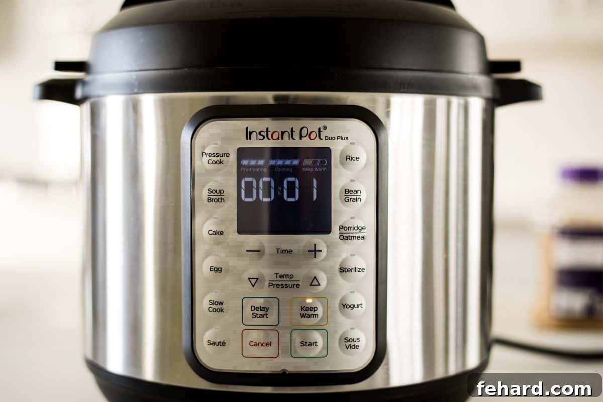 Keep Warm on Instant Pot. The Instant Pot after cooking on keep warm function.