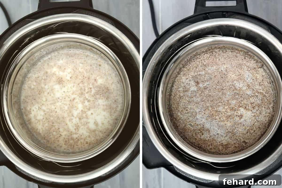 A side-by-side comparison photo demonstrating steel cut oats before and after cooking, showing the transformation from dry oats to a creamy consistency within the Instant Pot's inner bowl.