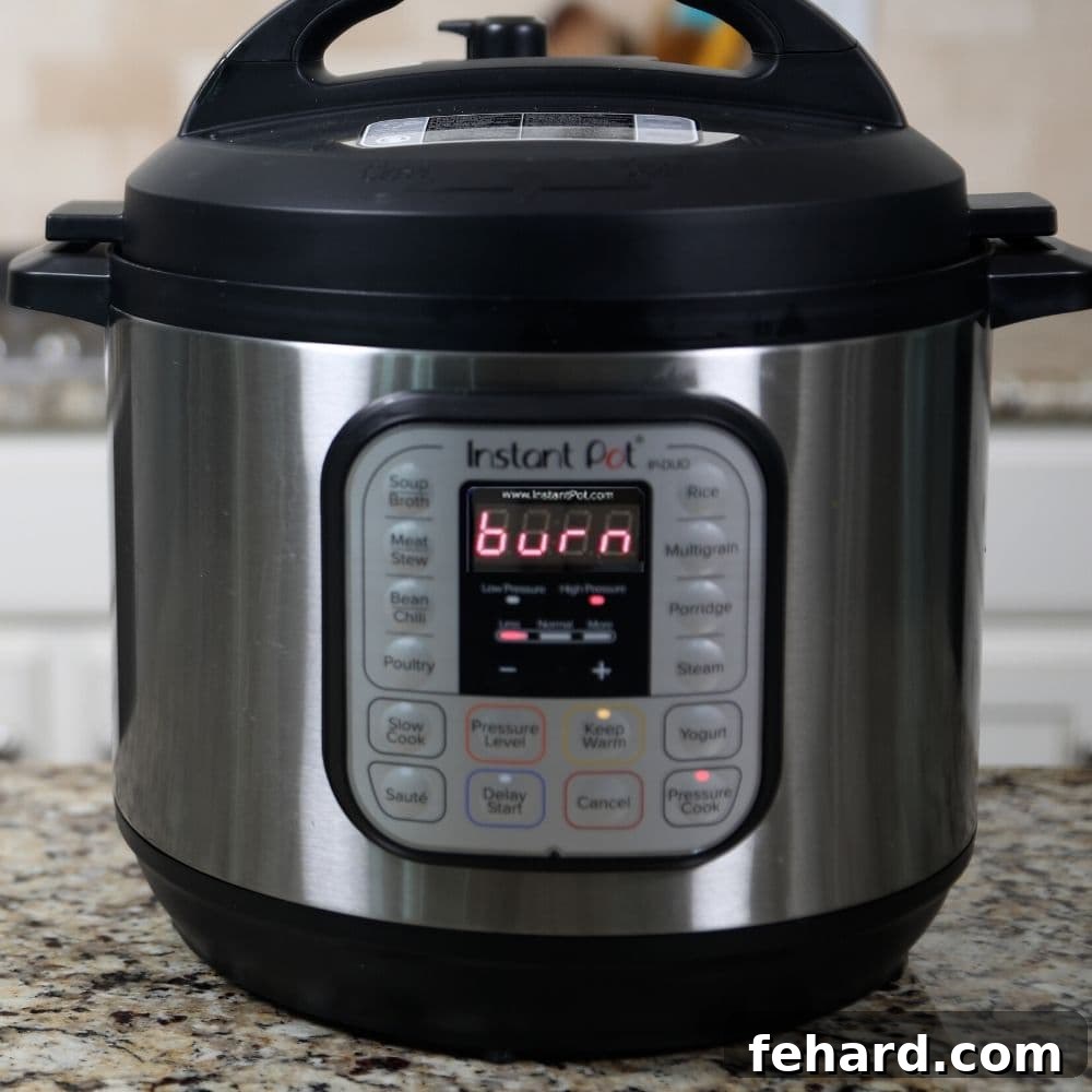 Burn Notice on Instant Pot Instant Pot with Burn Notice on front panel, indicating an overheat warning.