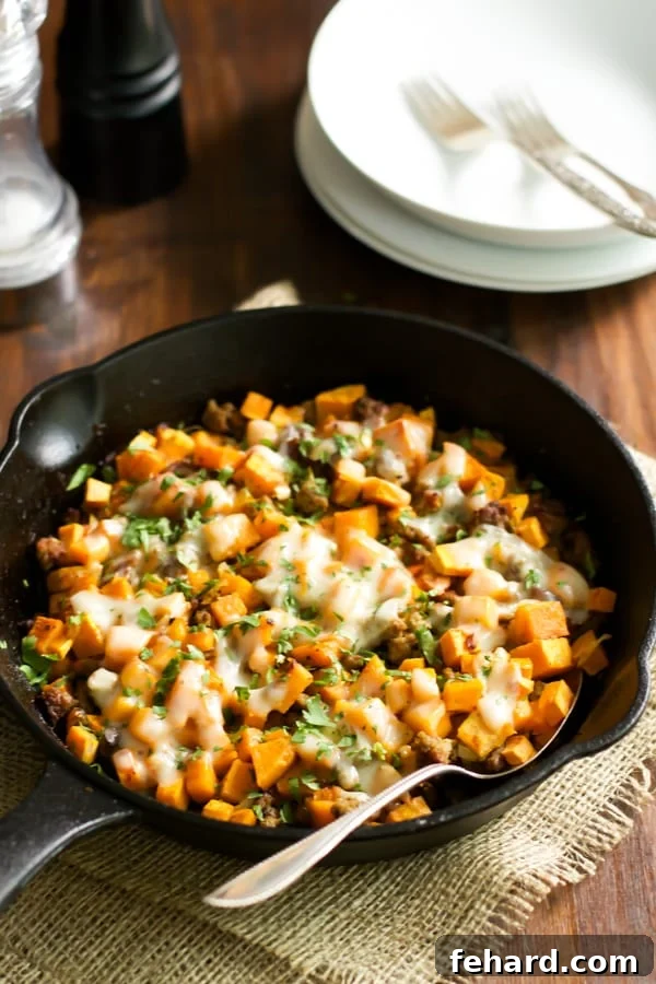Turkey & Sweet Potato Hash 5 An older, rustic photograph of the Ground Turkey Sweet Potato Skillet, showcasing its enduring appeal and deliciousness.