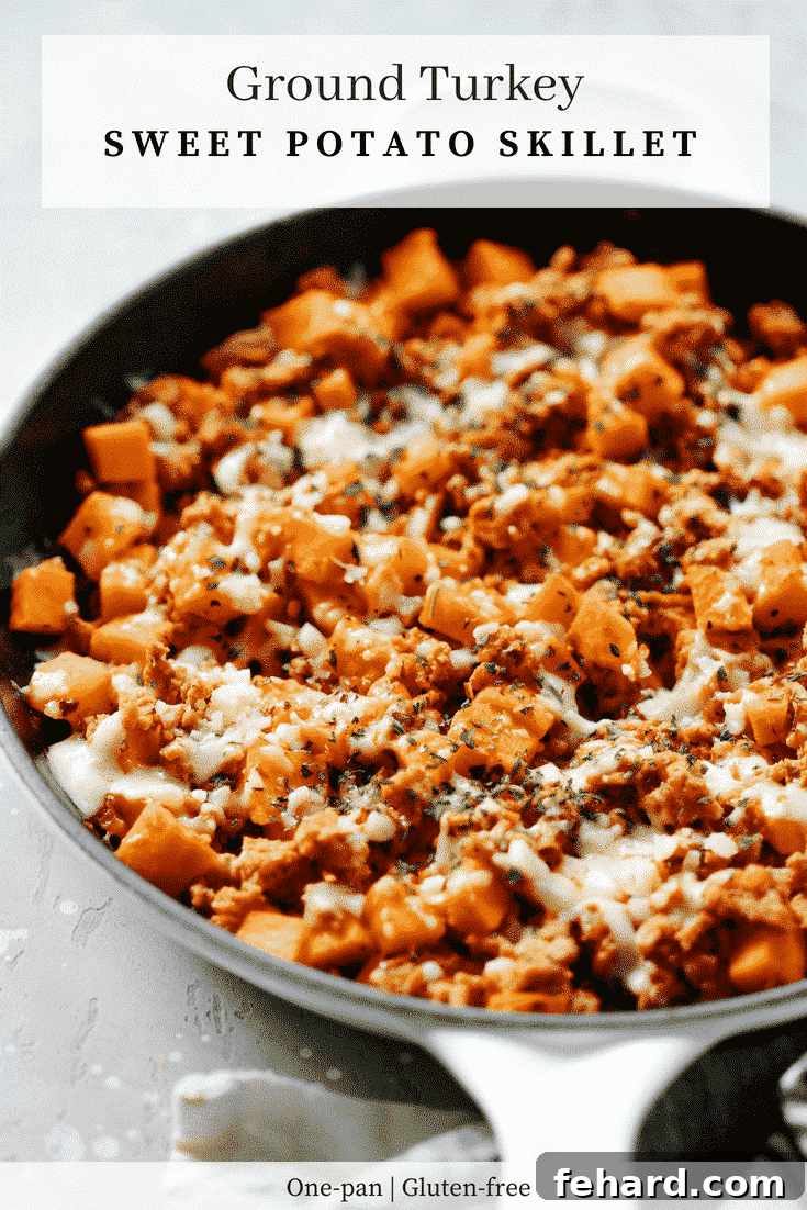 Turkey & Sweet Potato Hash 7 A vibrant and appetizing Ground Turkey Sweet Potato Skillet, ready to be served and enjoyed.