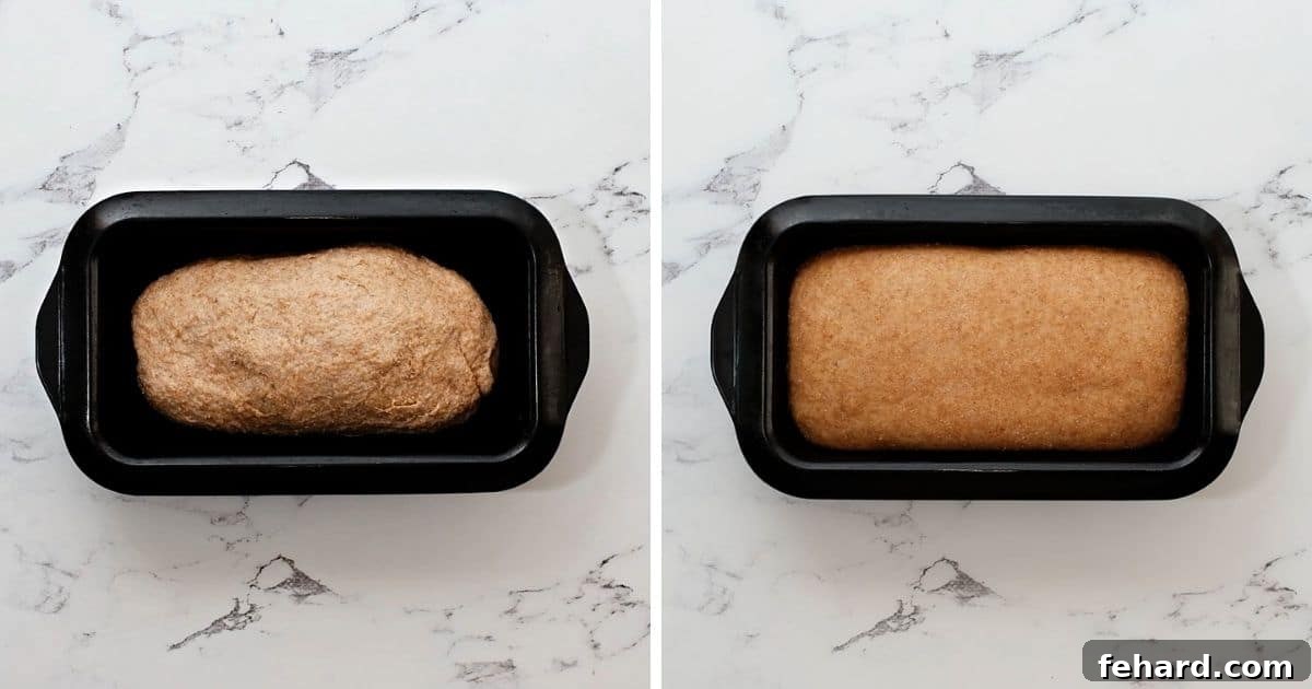 A side-by-side photo illustrating bread dough in a loaf pan, before and after its second rise, showing a significant increase in volume.
