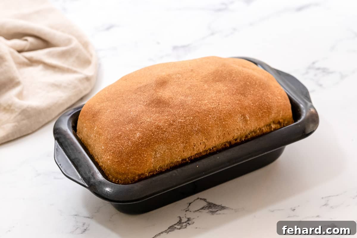 A beautifully baked loaf of whole wheat bread, still in its loaf pan, showing a golden-brown crust.