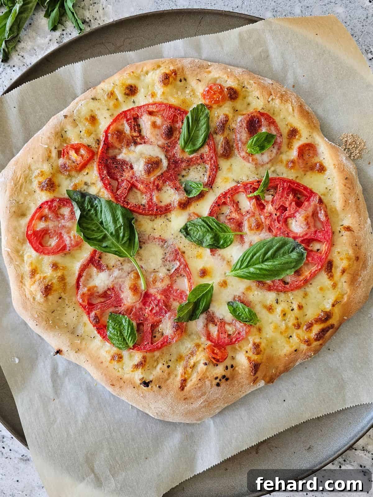 A perfectly baked fresh tomato pizza adorned with grated parmesan cheese and vibrant basil leaves, resting on a pizza pan lined with parchment paper.