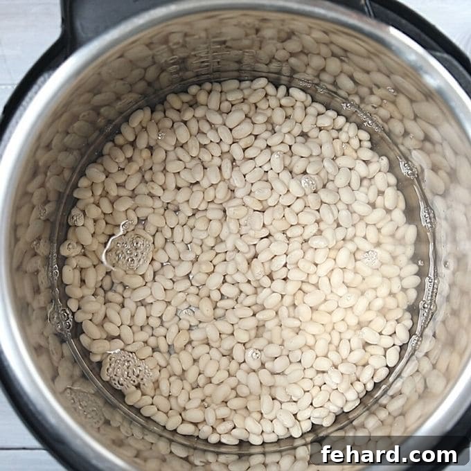Instant Pot Baked Bean Recipe Dried Navy Beans cooking in an Instant Pot with water.