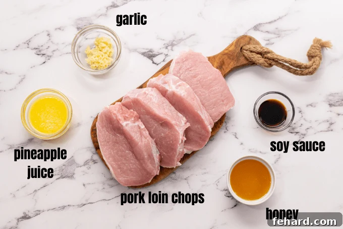 Essential Garlic Soy Pork Chop Marinade Ingredients Labeled ingredients for Honey Garlic Pork Chops, including honey, pineapple juice, soy sauce, and minced garlic.