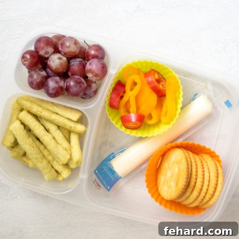 Kid-Friendly Peanut-Free Lunch: Cheese and Crackers Kid's Lunch with cheese and crackers in a plastic container, accompanied by fresh fruit and vegetables.