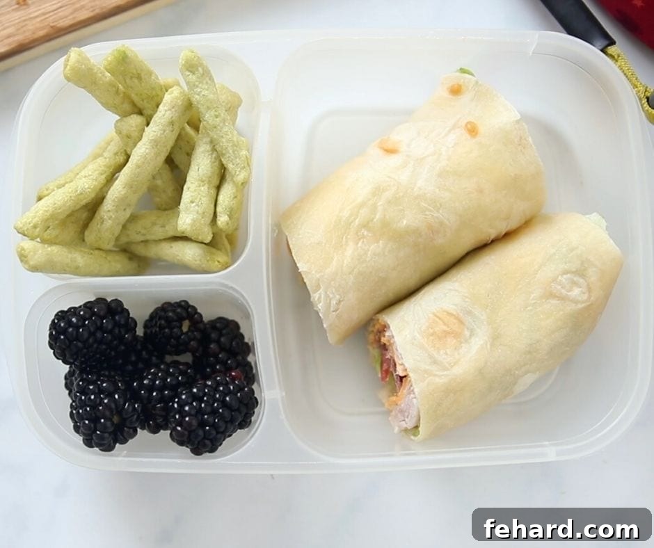Nut-Free Lunch Ideas: Turkey Club Wrap Turkey Club Wrap in a lunch Container with snap pea crisps and blackberries, showcasing a nutritious nut-free meal.