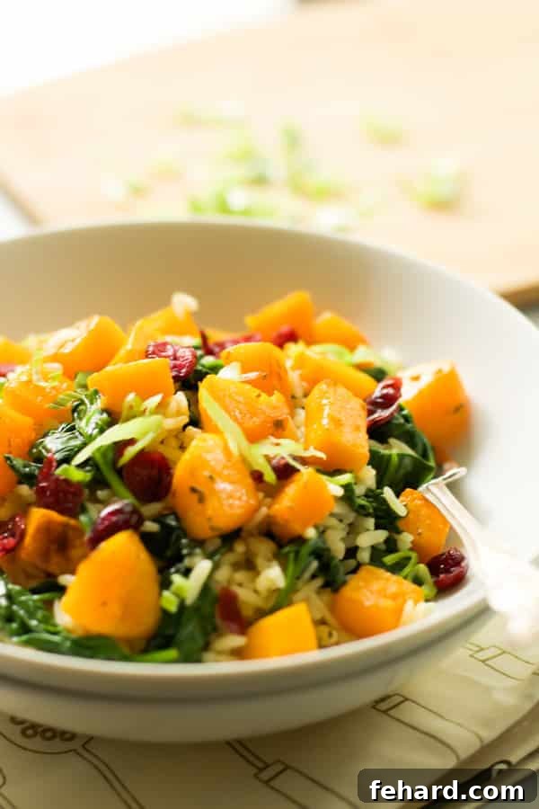 An angle photo of rice with roasted butternut squash and dried cranberries in a bowl.