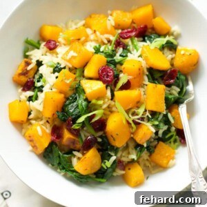 Rice with Roasted Butternut Squash and Dried Cranberries